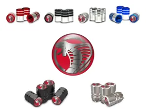 Cappelli Raggio Valvola Auto Costruzione Premium